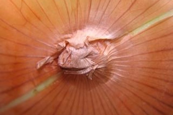 Даркнет маркет кракен onion