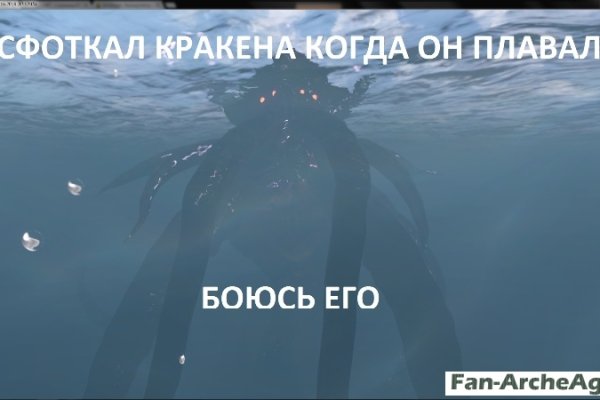 Найдется все kraken 2krn cc