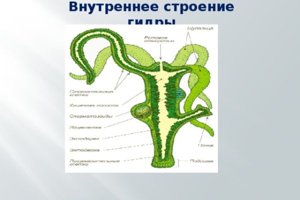 Kraken магазин интернет