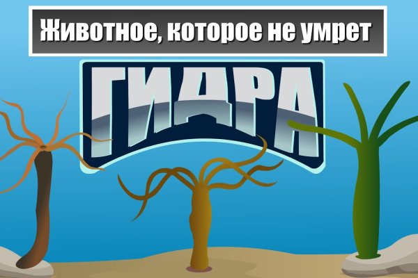 Гидра альтернатива